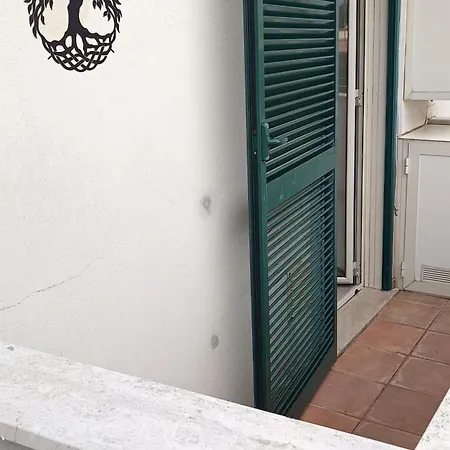 Turistico Fata Civitavecchia